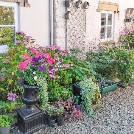The Tower Cottage Llangollen Exterior photo